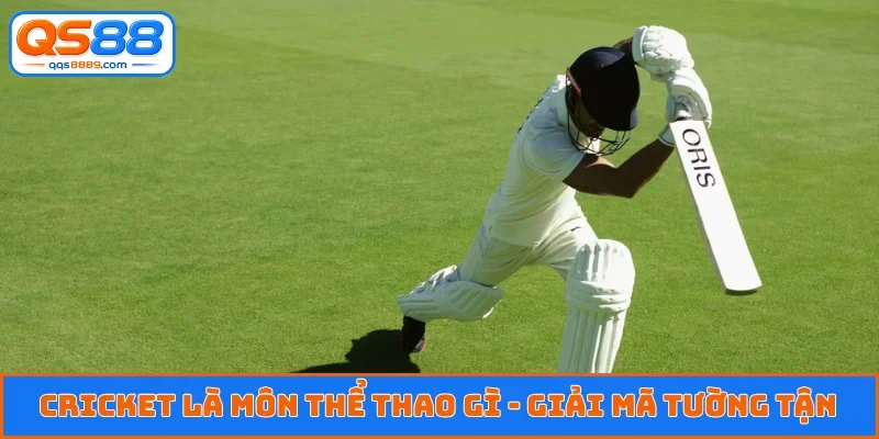 Cricket là môn thể thao gì